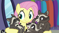 Raccoons chittering happily in Fluttershy's hooves S8E4