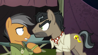 S06E13 Dr Cabbaleron i Quibble