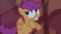 Scootaloo looks at something S3E06