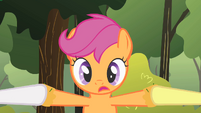 Scootaloo stuck in the middle. Literally!