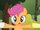 Scootaloo/Galeria