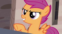 Scootaloo suggests doing more reconnaissance S7E8