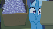 Trixie squished between the boxes S8E19