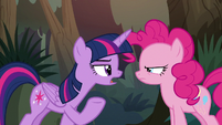 Twilight Sparkle -well, I'm sorry, Pinkie!- S8E13