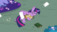 Twilight falls onto the ground S4E26