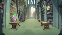 A part of the library of the Castle of the Royal Pony Sisters, S4E22