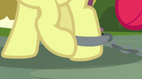 Apple Bloom chaining up her leg S9E12