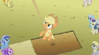 The ponies all looking up at Rainbow Dash.
