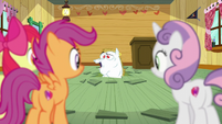 Bulk "you three really have a knack for this!" S6E4.png (1.15 MB) Scootaloo: I say, Sweetie, I say; that kid's as sharp as a bowling ball and about half as bright.
