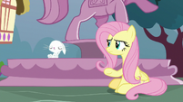 Bunny Fluttershy shaking her head S9E18