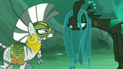 Chrysalis "It looks absolutely delicious!" S5E26