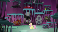 Fluttershy addressing the creatures S8E26