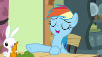 Rainbow Dash --one hundred percent!-- S6E11