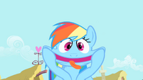 Rainbow Dash making funny face S1E22