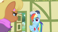 Rainbow Dash understands S4E05