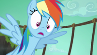 Rainbow Dash worried about Quibble S6E13