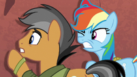 Rainbow and Quibble run into a wall S6E13