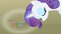 Rarity pleasant grace S1E19