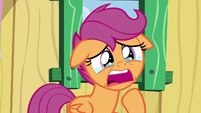 Scootaloo "well, it's worse for me!" S9E12