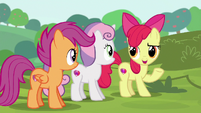 Apple Bloom "know what they're doin'" S6E14