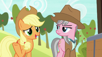Applejack "she does have a point there" S7E5