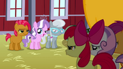 Babs Seed,Diamond Tiara,Silver Spoon and Cutie Mark Crusaders S3E04