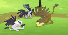 Griffons training.png