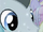 Lucky Clover Crystal Pony ID S4E05.png