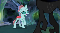 Ocellus "why do you look like that?" S8E22