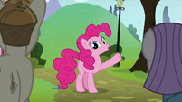 Pinkie Pie "I'm really into sticks, too!" S8E3