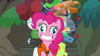 Pinkie Pie with a derpy grin S6E22