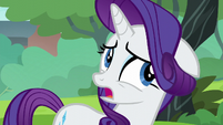 Rarity doesn't have an answer S6E3