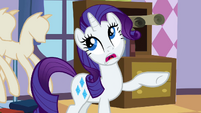 Rarity explaining S2E5