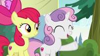 Sweetie Belle "all kinds of things!" S7E21