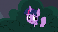 Twilight "I used to live in a library" S9E5.png (760 KB)