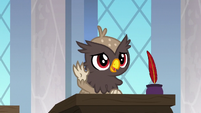 Young griffon in Scootaloo's class S9E26