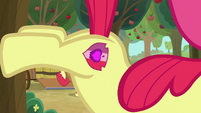 Apple Bloom's hooves kicking a tree S9E10