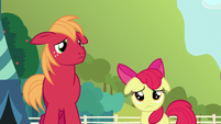 Apple Bloom and Big Mac ashamed S5E17