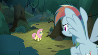 Fake Rainbow looks down at Fluttershy S8E13