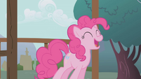 Pinkie finds it funny.