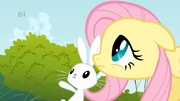 Fluttershy i 