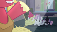 Apple Bloom and Sweetie Belle helping Big Mac S7E8