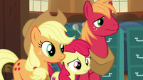 "Mayor Mare, you knew our parents?"