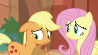 Applejack apologizing to Fluttershy S8E23
