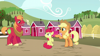 Applejack points Apple Bloom to Big Mac S5E17