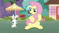 Bunny Fluttershy and Pegasus Angel S9E18