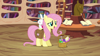 Fluttershy arrives with Angel S03E11