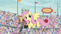 Fluttershy catches ball with her tail S9E6