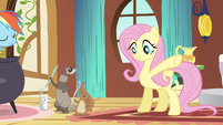 Fluttershy have a little snack S3E13