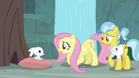 Fluttershy mimes appreciation for Angel S9E18